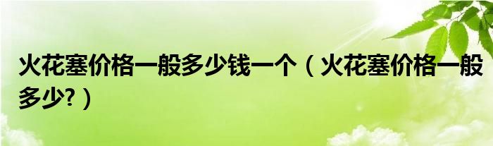 火花塞价格一般多少钱一个（火花塞价格一般多少?）