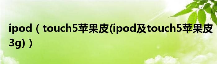 ipod（touch5苹果皮(ipod及touch5苹果皮3g)）