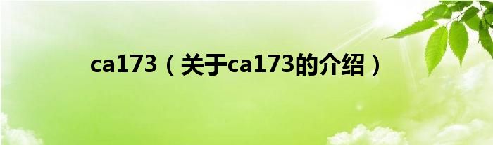 ca173（关于ca173的介绍）