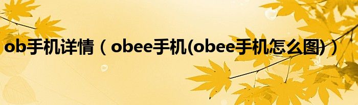 ob手机详情（obee手机(obee手机怎么图)）