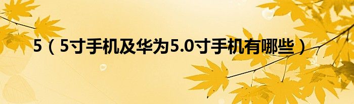 5（5寸手机及华为5.0寸手机有哪些）