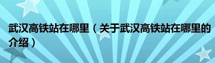 武汉高铁站在哪里（关于武汉高铁站在哪里的介绍）