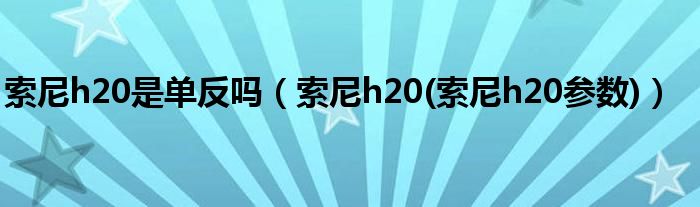 索尼h20是单反吗（索尼h20(索尼h20参数)）