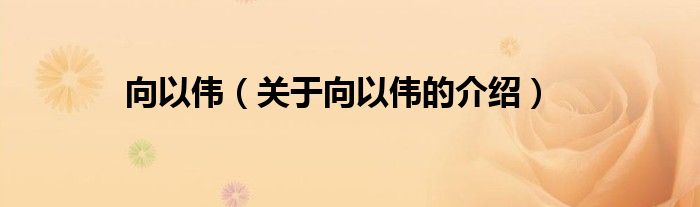 向以伟（关于向以伟的介绍）