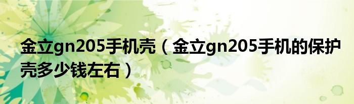 金立gn205手机壳（金立gn205手机的保护壳多少钱左右）