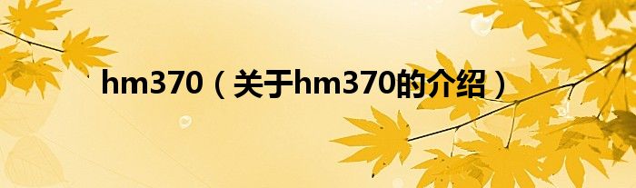 hm370（关于hm370的介绍）