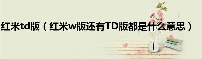 红米td版（红米w版还有TD版都是什么意思）