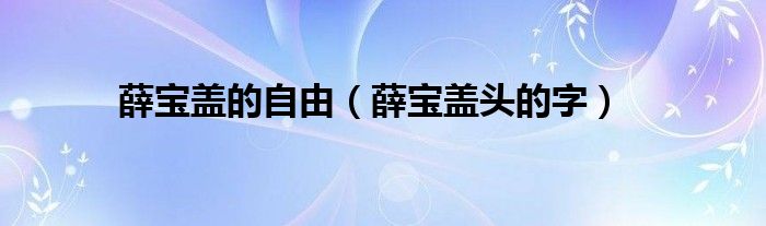 薛宝盖的自由（薛宝盖头的字）