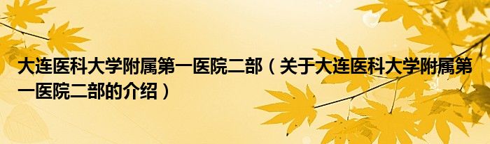 大连医科大学附属第一医院二部（关于大连医科大学附属第一医院二部的介绍）