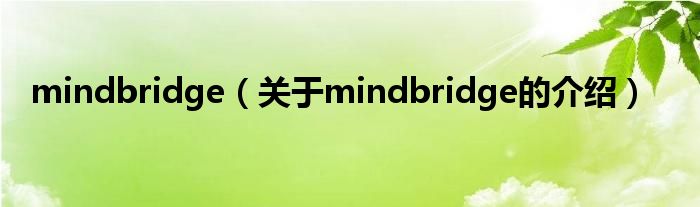 mindbridge（关于mindbridge的介绍）