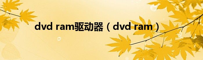 dvd ram驱动器（dvd ram）