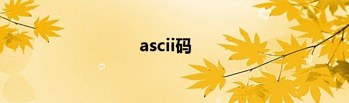 ascii码