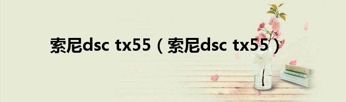 索尼dsc tx55（索尼dsc tx55）