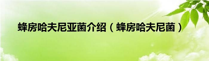 蜂房哈夫尼亚菌介绍（蜂房哈夫尼菌）