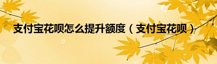 支付宝花呗怎么提升额度（支付宝花呗）