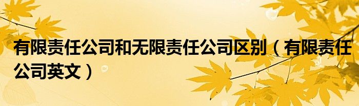 有限责任公司和无限责任公司区别（有限责任公司英文）