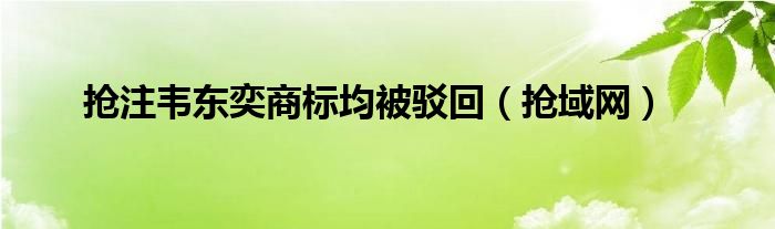 抢注韦东奕商标均被驳回（抢域网）