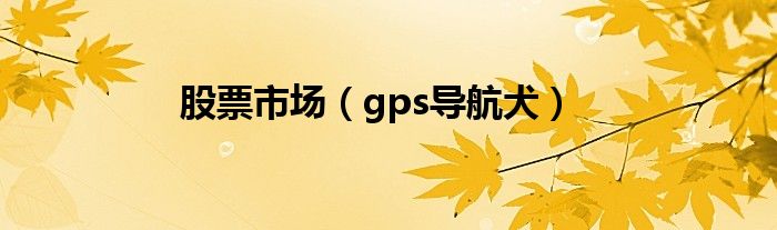 股票市场（gps导航犬）