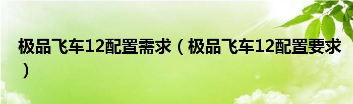 极品飞车12配置需求（极品飞车12配置要求）