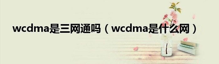 wcdma是三网通吗（wcdma是什么网）