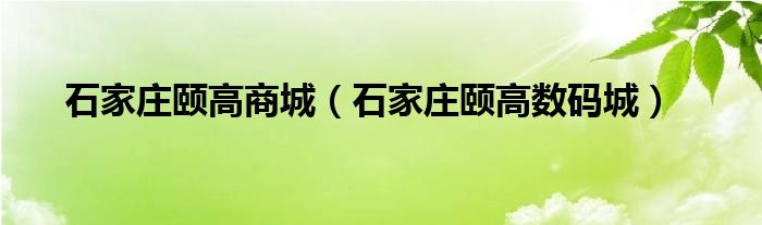 石家庄颐高商城（石家庄颐高数码城）