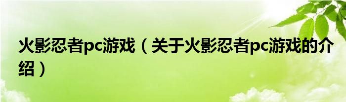 火影忍者pc游戏（关于火影忍者pc游戏的介绍）