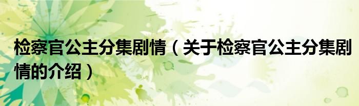 检察官公主分集剧情（关于检察官公主分集剧情的介绍）