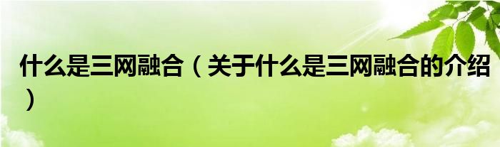 什么是三网融合（关于什么是三网融合的介绍）