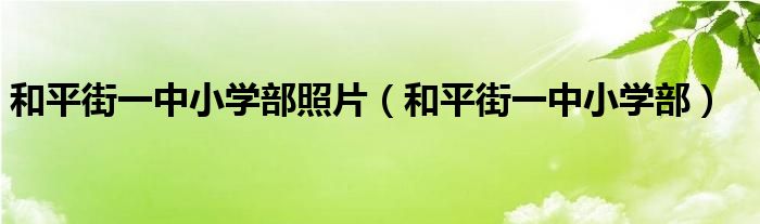 和平街一中小学部照片（和平街一中小学部）