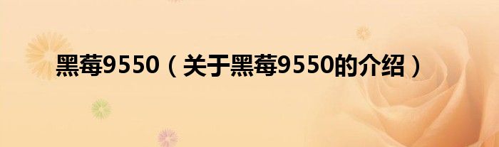 黑莓9550（关于黑莓9550的介绍）