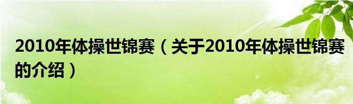 2010年体操世锦赛（关于2010年体操世锦赛的介绍）