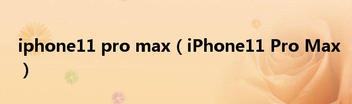 iphone11 pro max（iPhone11 Pro Max）