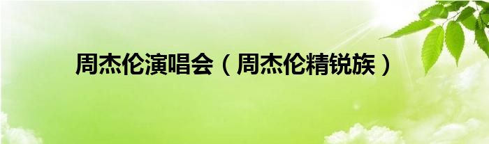 周杰伦演唱会（周杰伦精锐族）