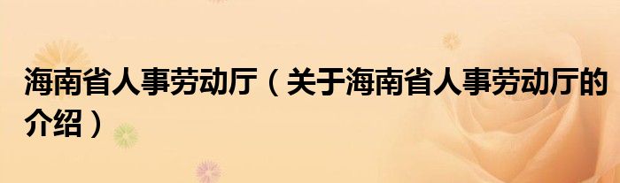 海南省人事劳动厅（关于海南省人事劳动厅的介绍）