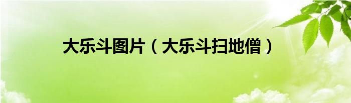 大乐斗图片（大乐斗扫地僧）