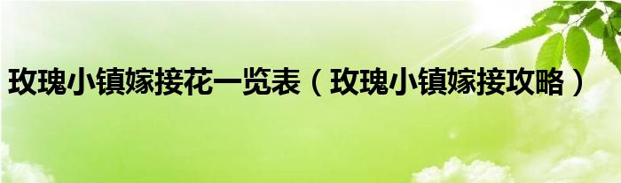 玫瑰小镇嫁接花一览表（玫瑰小镇嫁接攻略）