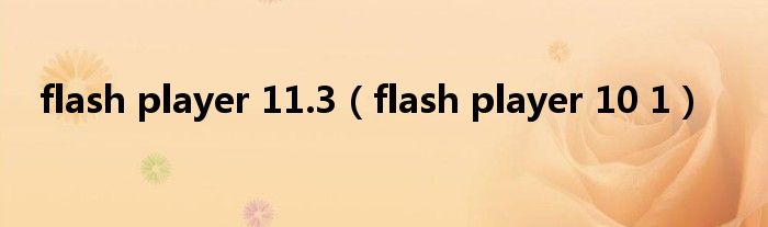 flash player 11.3（flash player 10 1）