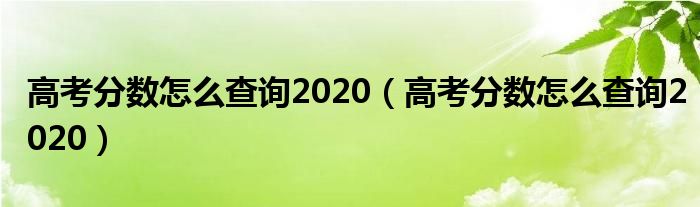 高考分数怎么查询2020（高考分数怎么查询2020）