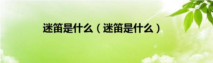 迷笛是什么（迷笛是什么）