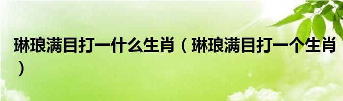 琳琅满目打一什么生肖（琳琅满目打一个生肖）