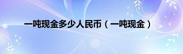 一吨现金多少人民币（一吨现金）