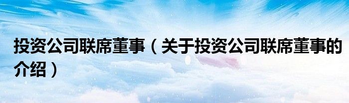 投资公司联席董事（关于投资公司联席董事的介绍）