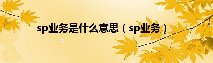 sp业务是什么意思（sp业务）