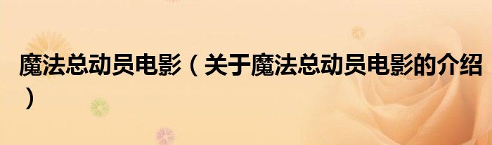 魔法总动员电影（关于魔法总动员电影的介绍）