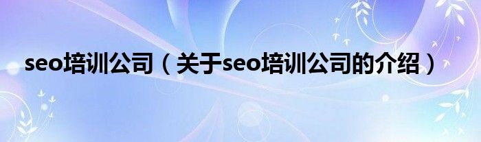 seo培训公司（关于seo培训公司的介绍）