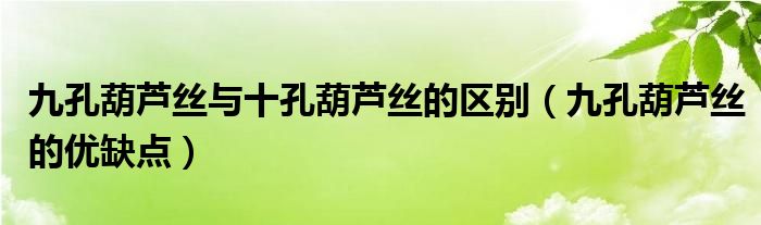 九孔葫芦丝与十孔葫芦丝的区别（九孔葫芦丝的优缺点）