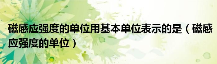磁感应强度的单位用基本单位表示的是（磁感应强度的单位）
