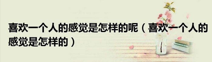 喜欢一个人的感觉是怎样的呢（喜欢一个人的感觉是怎样的）