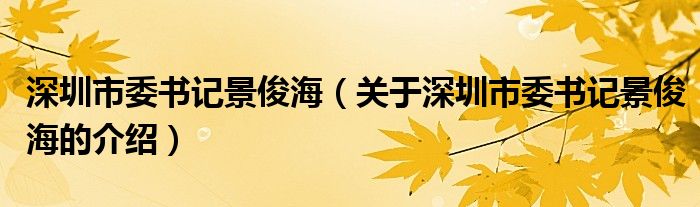 深圳市委书记景俊海（关于深圳市委书记景俊海的介绍）