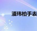 潘玮柏手表是那个歌（潘玮柏手表）